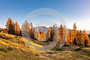 Tauplitzalm view to Grimming mountain in the Austrian Alps