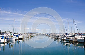 Tauranga Marina 1