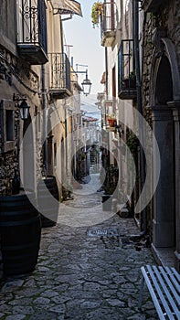 Taurasi, Avellino, Campania, Italy: view of alley with barrels