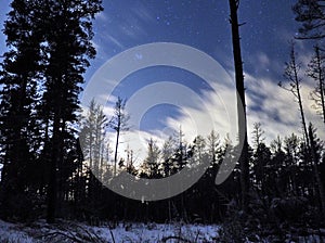 Pleiades open star cluster on night sky and clouds over winter forest