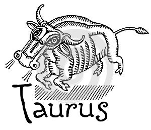 Taurus cubist drawing black and white photo