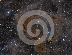 Taurus Molecular Cloud