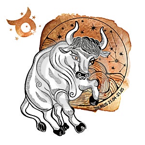 Taurus zodiac sign.Horoscope circle.Watercolor