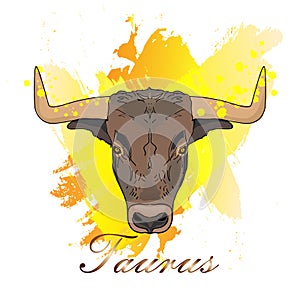 Taurus zodiac sign painted in illustrator in watercolor style.