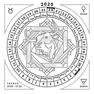 Taurus zodiacal coloring book with caledar of year 2020