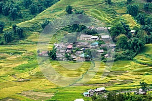 Tavan village on rice field terraced in valley mountain at Sapa