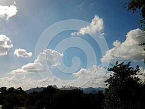 Tavel in the morning