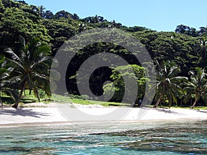 Taveuni island