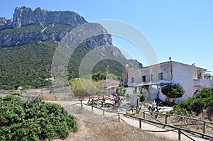 Tavolara Island Sardinia Italy