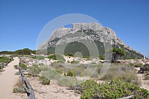 Tavolara Island Sardinia Italy