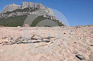 Tavolara Island Sardinia Italy