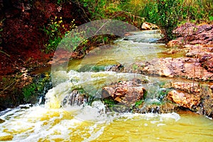 Tavor Creek in the Lower Galilee photo