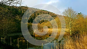 Tavy river near lopwell dam . Devon