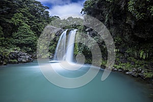 Tawhai Falls, NZ