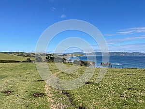 Tawharanui Regional Park in a sunny day, New Zealand