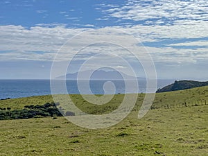 Tawharanui Regional Park in a sunny day, New Zealand