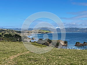 Tawharanui Regional Park in a sunny day, New Zealand