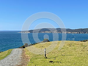 Tawharanui Regional Park in a sunny day, New Zealand