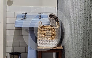 Tawny Frogmouth Owl in Bathroom