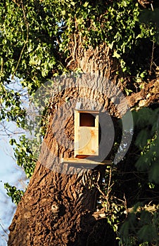 A tawny owl nesting box
