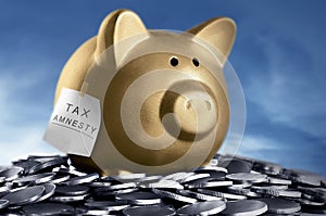 Tax amnesty quote tacked on gold piggy bank photo