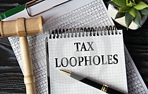 TAX LOOPHOLES - words on a white sheet on the background of a judge\'s gavel, a cactus and a pen