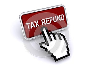 Tax Refund Web Icon