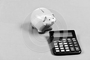 Taxes and fees concept. Tax savings. Piggy bank money savings. Investing gain profit. Pay taxes. Calculate taxes. Piggy
