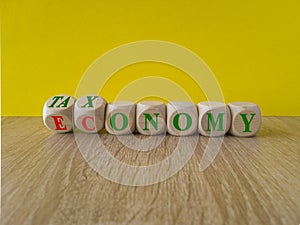 Taxonomy or economy symbol. Turned wooden cubes