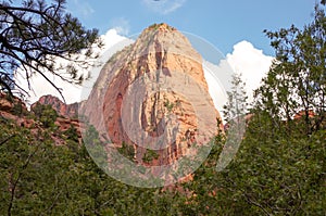 Taylor Creek, Kolob Canyons, Zion National Park, Utah