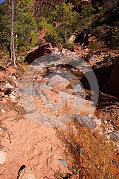 Taylor Creek trail