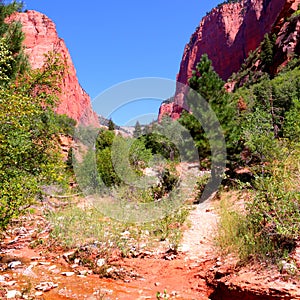 Taylor Creek Trail Kolob Canyons Zion National Park 7