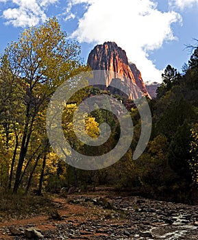 Taylor Creek in Zion National Park, Utah