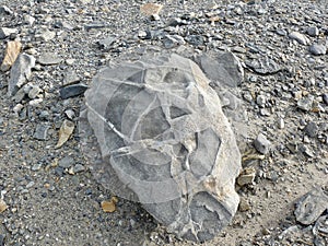 Taylor Dry Valley rock showing bands of erosion