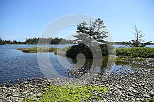 Taylor Head Park, Nova Scotia