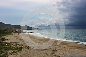 Tayrona National Park surrounded by turquoise sea and white sand beach in Colombia