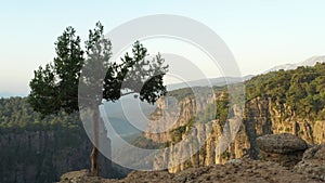 Tazi Canyon in Turkey in the morning. Aerial drone view flying among rocky mountains