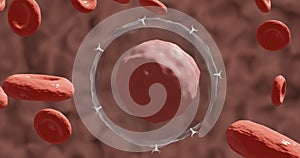 A Tc lymphocyte with its receptors TCR in 3D illustration