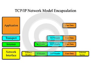 TCP/IP Network Model