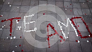 Te Amo Spanish for I Love You spelled out in rose petals photo