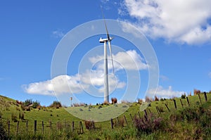 Viento en norte nuevo 