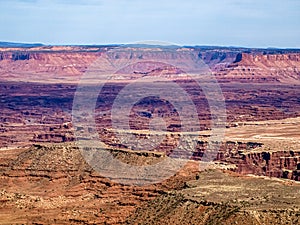 Te Colorado river, cutting through a landscape filled with red limestone rocks, Canyonlands National Park, UT, USA