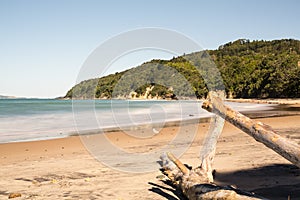 Te Karo Bay, Coromandel, New Zealand