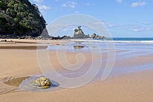 Te Karo Bay or Sailors Grave Coromandel Peninsula New Zealand NZ