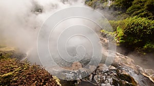 Te Manaroa natural boiling thermal pool in Waikite Valley