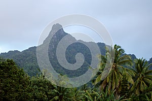 Te Manga mountain in Rarotonga Cook Islands