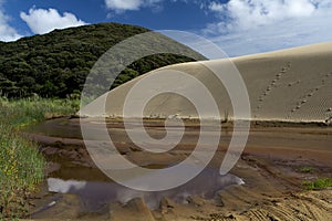 Te Paki Giant Sand Dunes