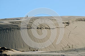 Te Paki Sand Dunes