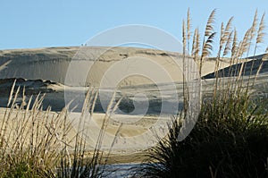 Te Paki Sand Dunes