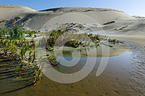 Te Paki Sand Dunes